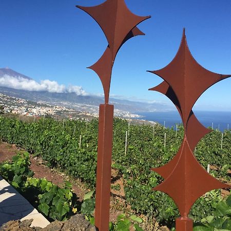 Finca Angelus Apartment Syrah With Amazing Views La Matanza De Acentejo Exterior photo