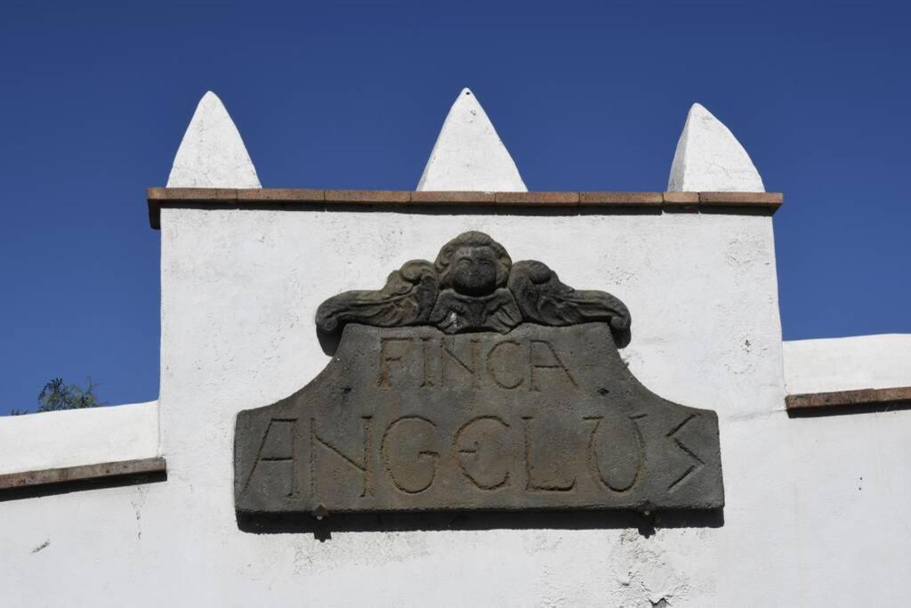 Finca Angelus Apartment Syrah With Amazing Views La Matanza De Acentejo Exterior photo