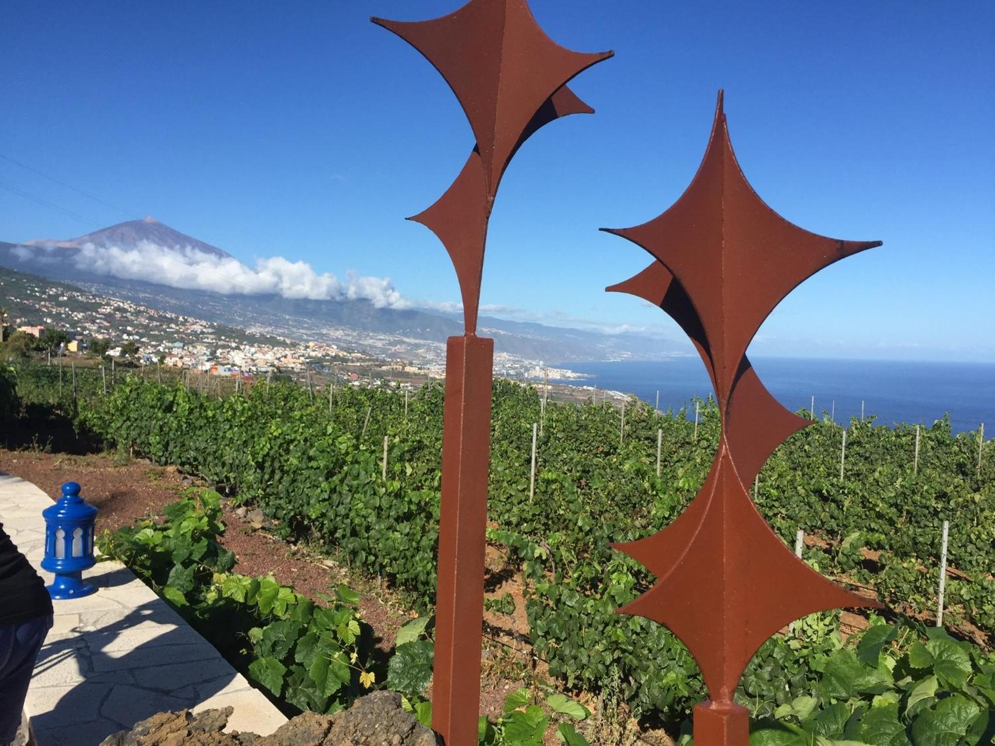 Finca Angelus Apartment Syrah With Amazing Views La Matanza De Acentejo Exterior photo